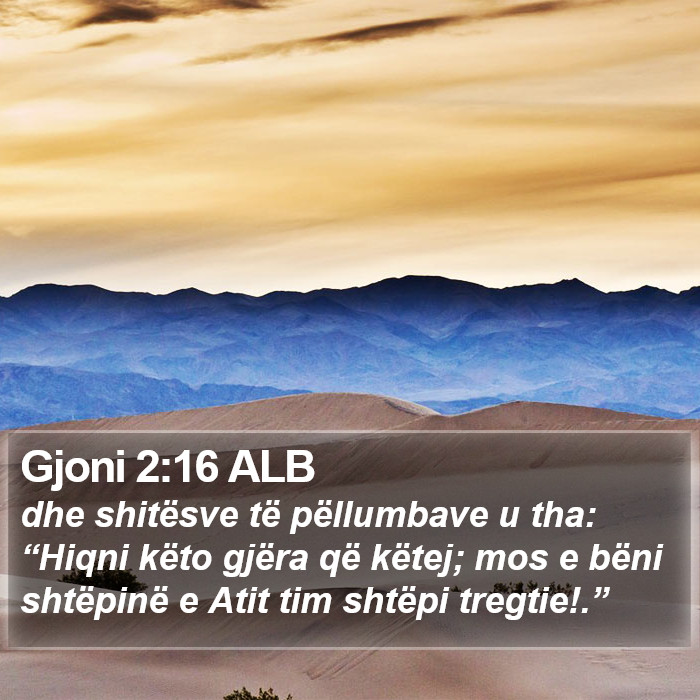 Gjoni 2:16 ALB Bible Study