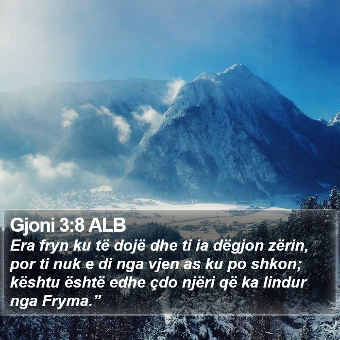 Gjoni 3:8 ALB Bible Study