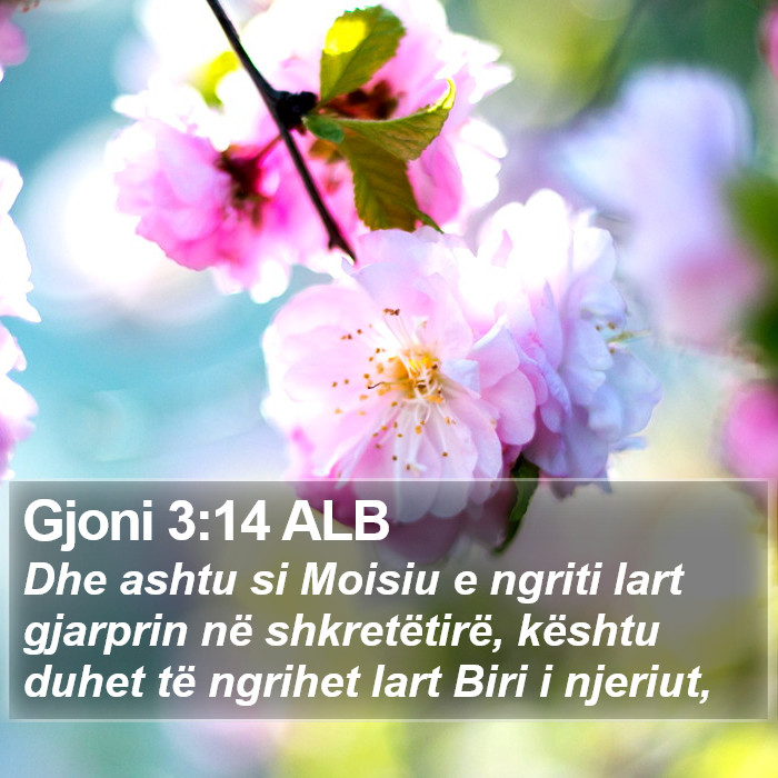 Gjoni 3:14 ALB Bible Study