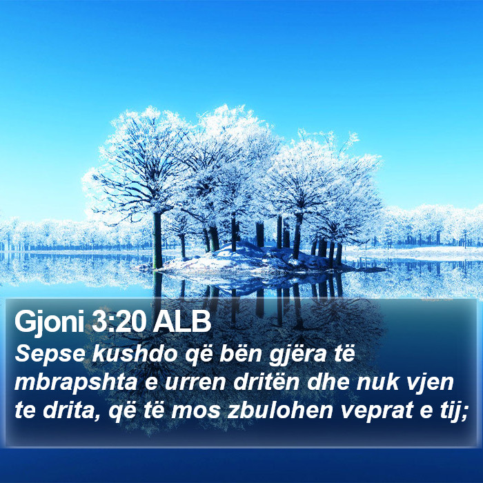 Gjoni 3:20 ALB Bible Study