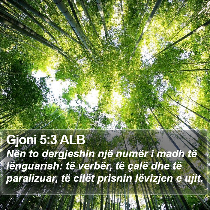 Gjoni 5:3 ALB Bible Study