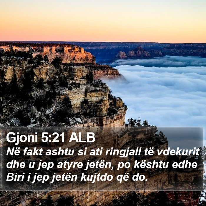 Gjoni 5:21 ALB Bible Study