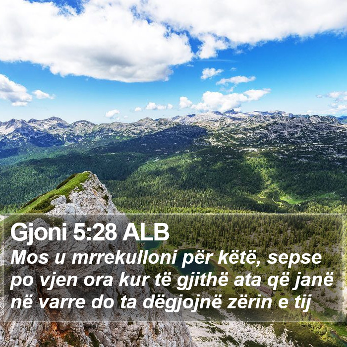 Gjoni 5:28 ALB Bible Study