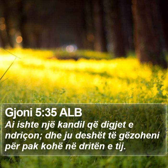 Gjoni 5:35 ALB Bible Study