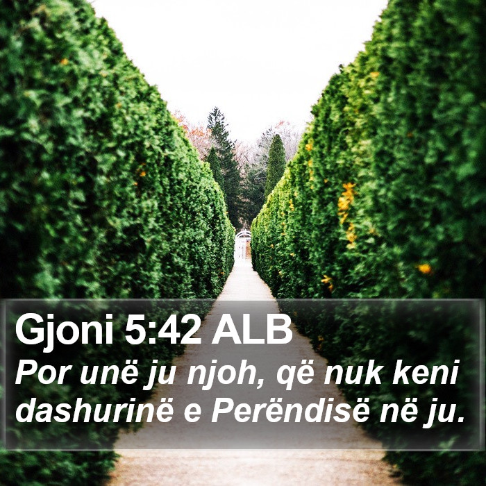 Gjoni 5:42 ALB Bible Study