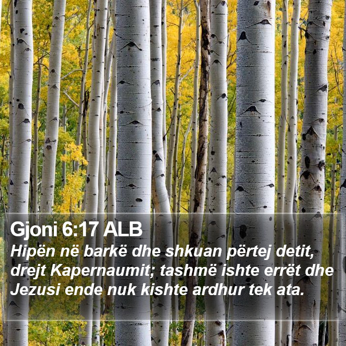 Gjoni 6:17 ALB Bible Study