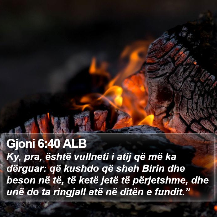 Gjoni 6:40 ALB Bible Study