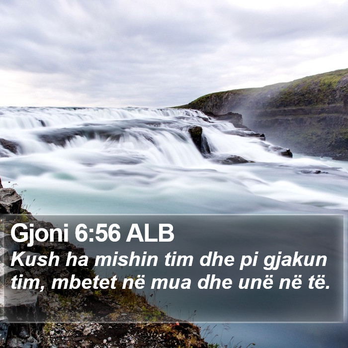 Gjoni 6:56 ALB Bible Study