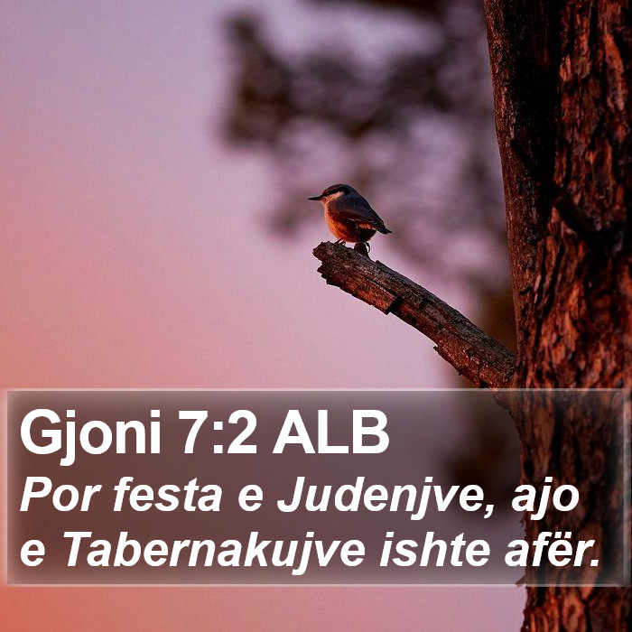 Gjoni 7:2 ALB Bible Study