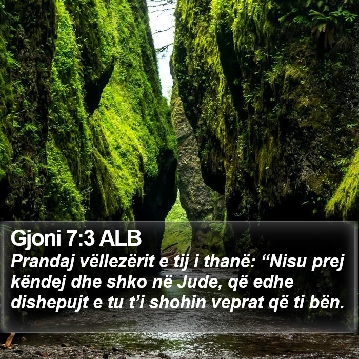 Gjoni 7:3 ALB Bible Study