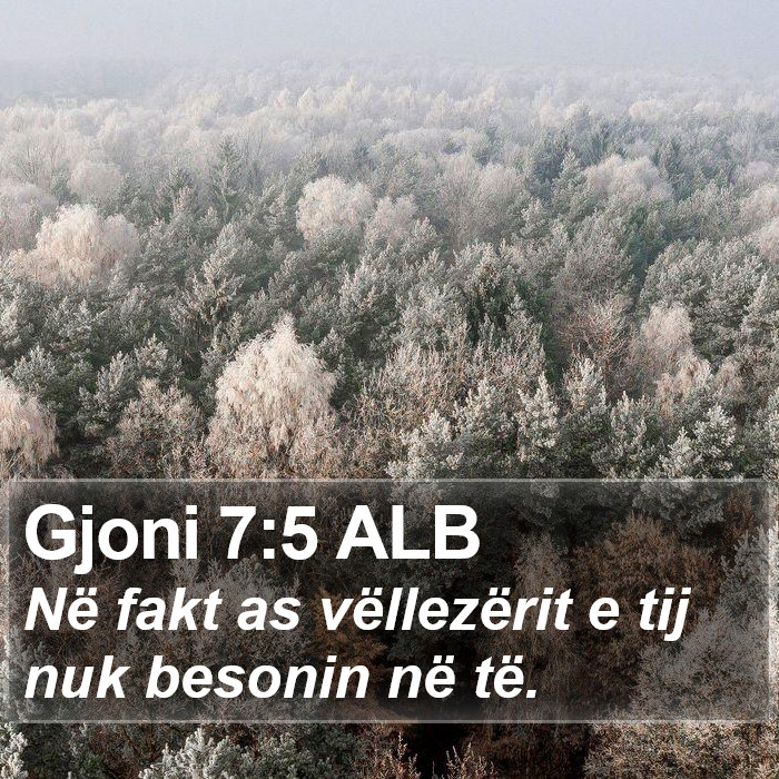 Gjoni 7:5 ALB Bible Study