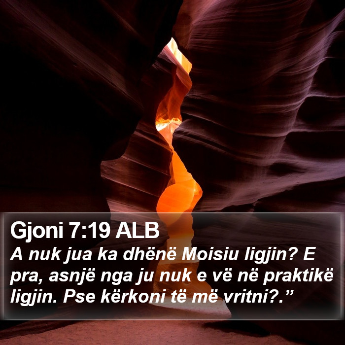 Gjoni 7:19 ALB Bible Study