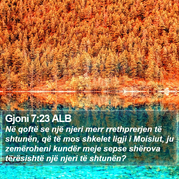 Gjoni 7:23 ALB Bible Study