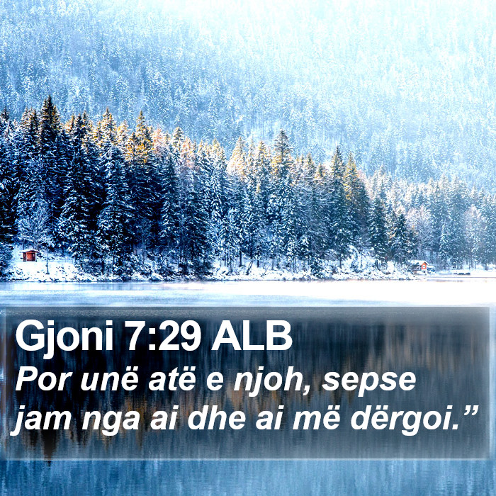 Gjoni 7:29 ALB Bible Study