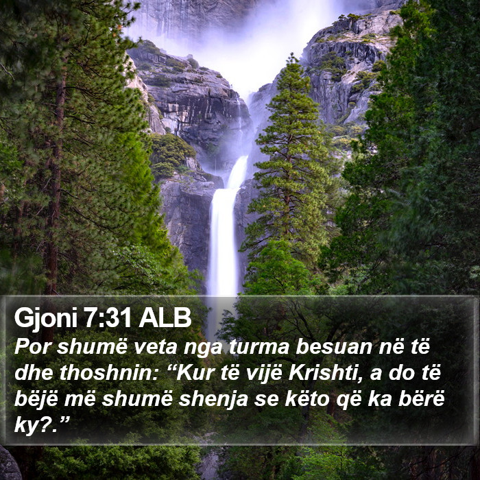 Gjoni 7:31 ALB Bible Study