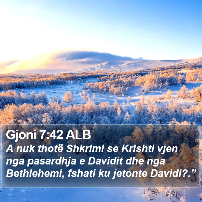 Gjoni 7:42 ALB Bible Study