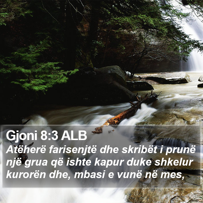 Gjoni 8:3 ALB Bible Study
