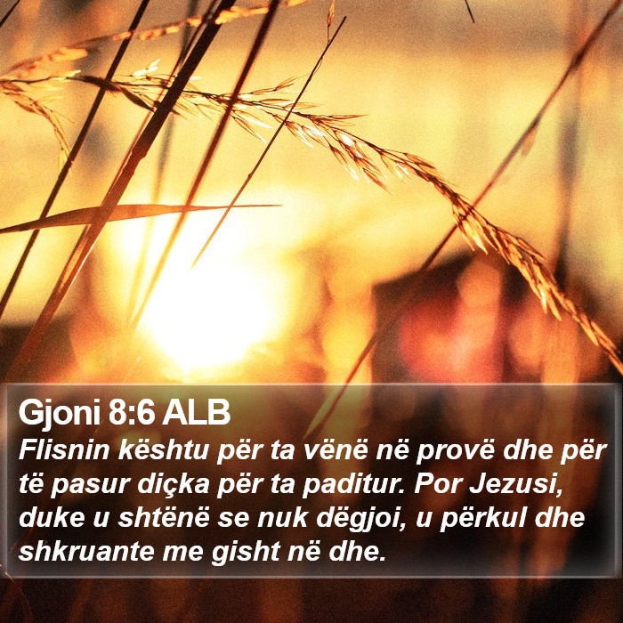 Gjoni 8:6 ALB Bible Study