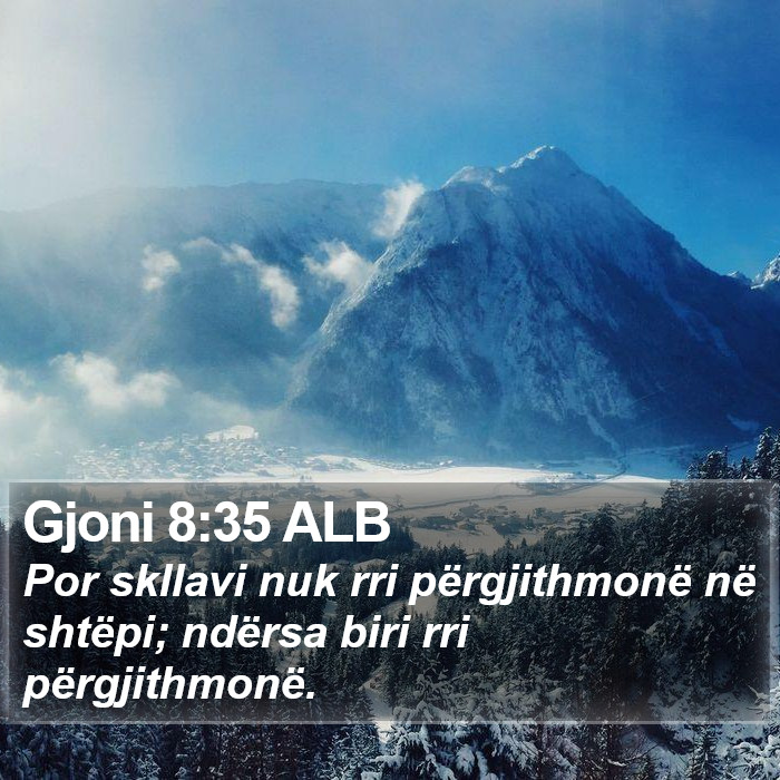 Gjoni 8:35 ALB Bible Study