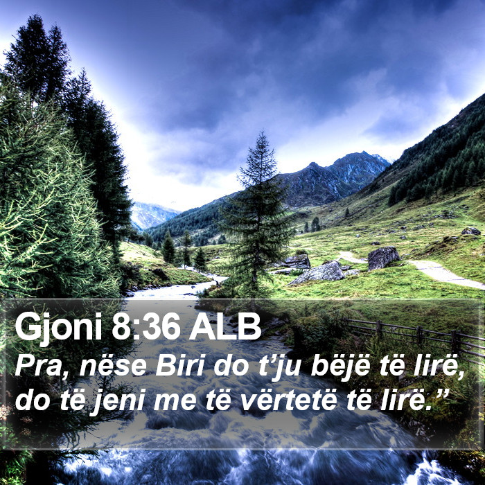 Gjoni 8:36 ALB Bible Study