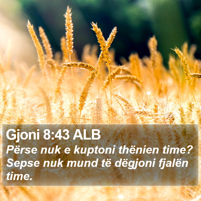 Gjoni 8:43 ALB Bible Study