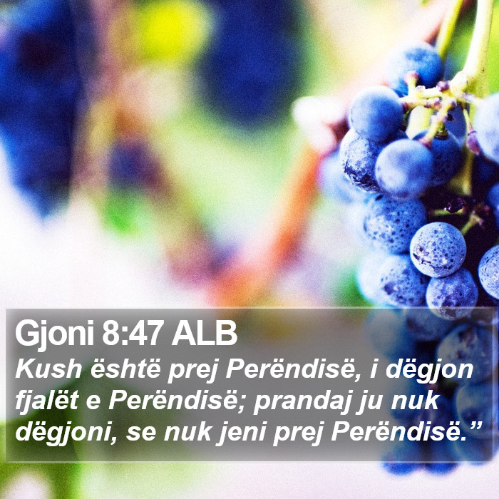 Gjoni 8:47 ALB Bible Study