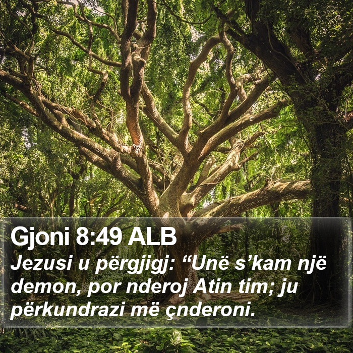 Gjoni 8:49 ALB Bible Study