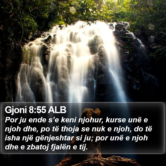 Gjoni 8:55 ALB Bible Study