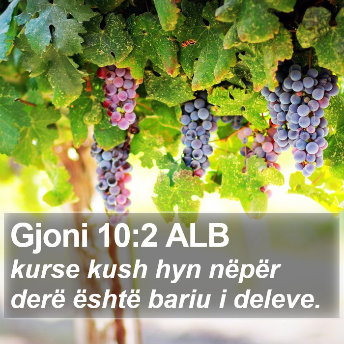 Gjoni 10:2 ALB Bible Study