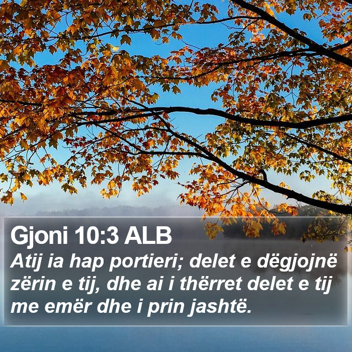 Gjoni 10:3 ALB Bible Study