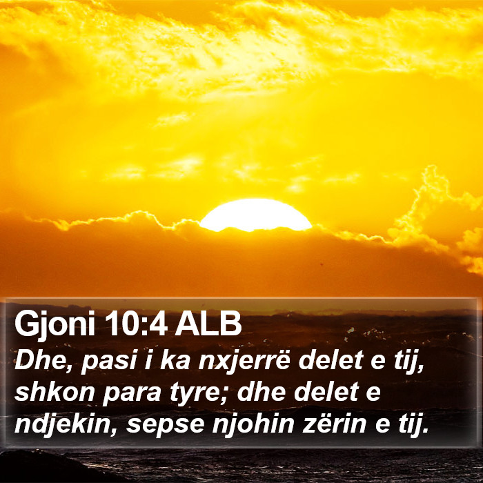 Gjoni 10:4 ALB Bible Study