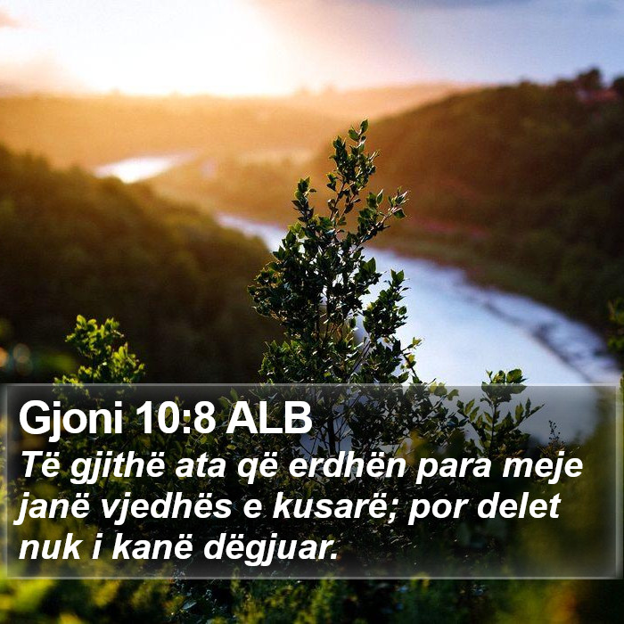 Gjoni 10:8 ALB Bible Study