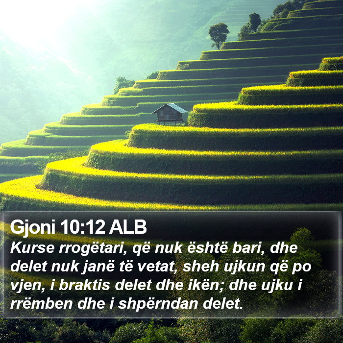 Gjoni 10:12 ALB Bible Study