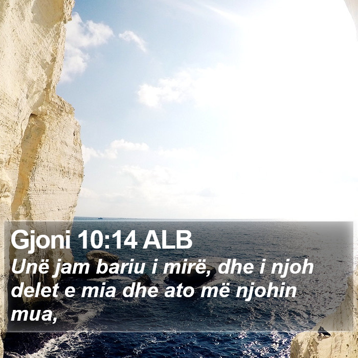 Gjoni 10:14 ALB Bible Study