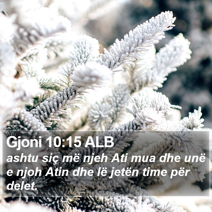 Gjoni 10:15 ALB Bible Study