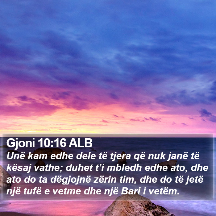 Gjoni 10:16 ALB Bible Study