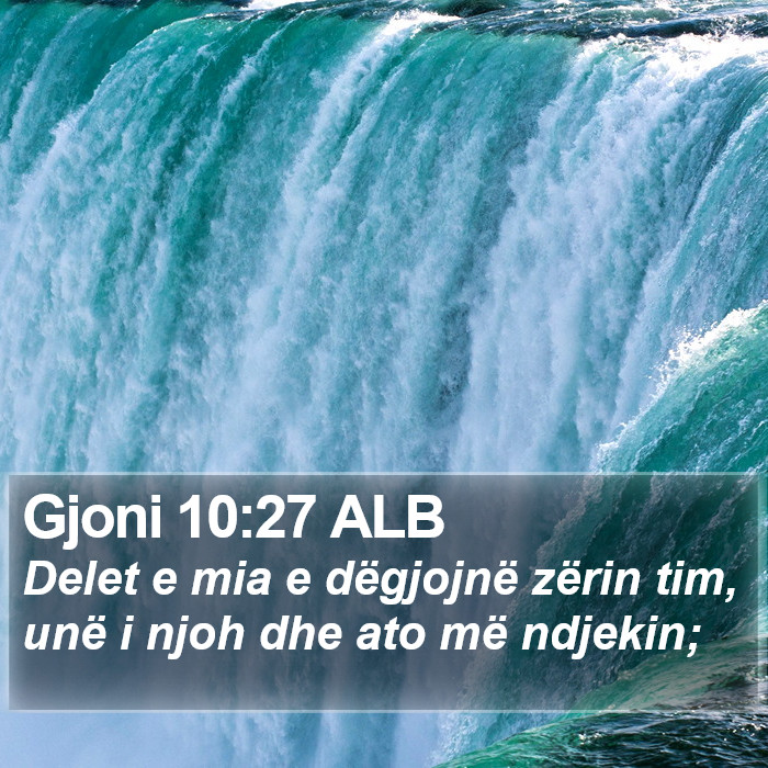 Gjoni 10:27 ALB Bible Study