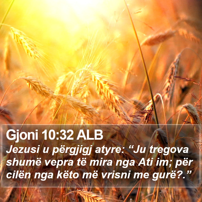 Gjoni 10:32 ALB Bible Study