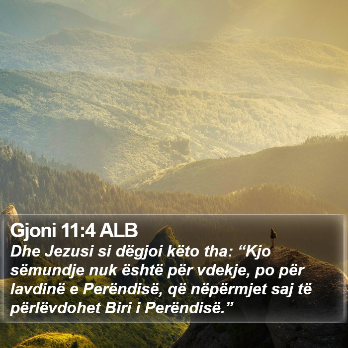 Gjoni 11:4 ALB Bible Study