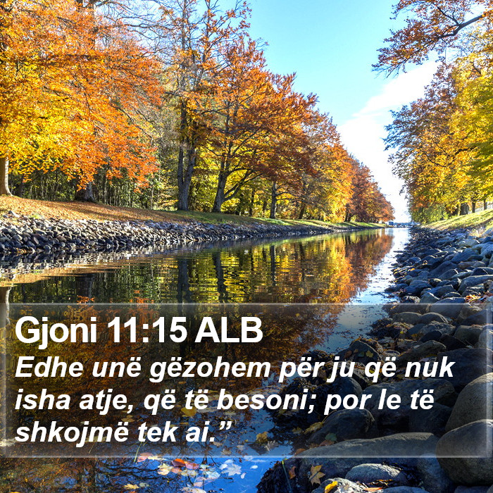 Gjoni 11:15 ALB Bible Study
