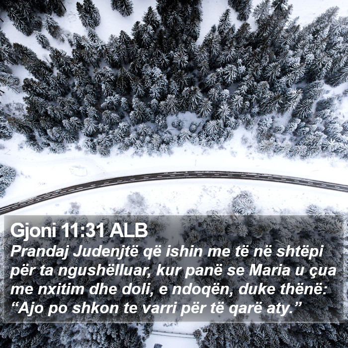 Gjoni 11:31 ALB Bible Study