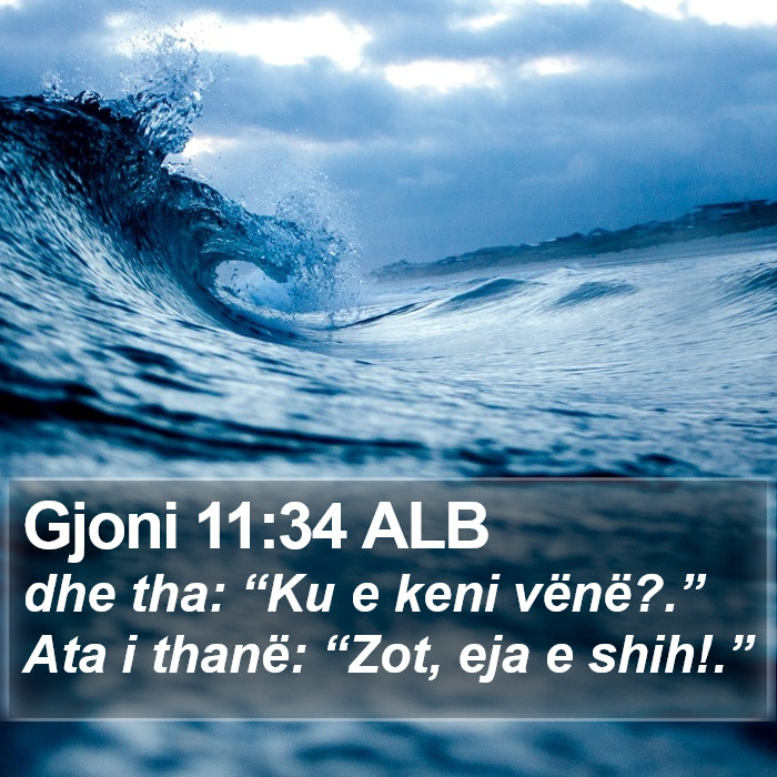 Gjoni 11:34 ALB Bible Study