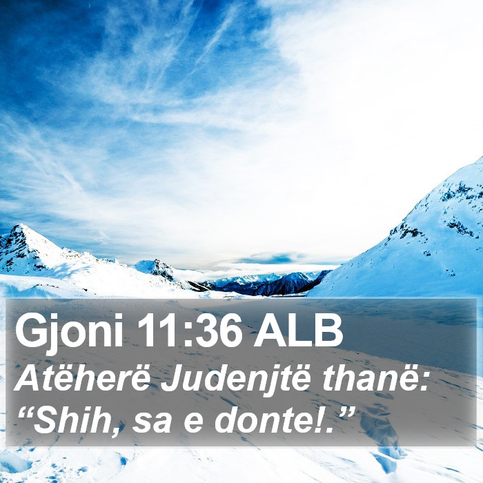 Gjoni 11:36 ALB Bible Study
