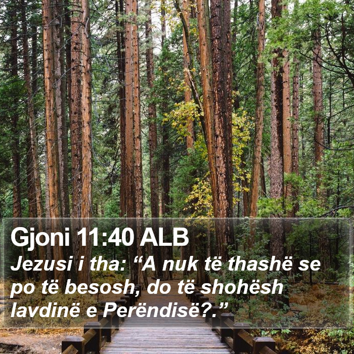 Gjoni 11:40 ALB Bible Study