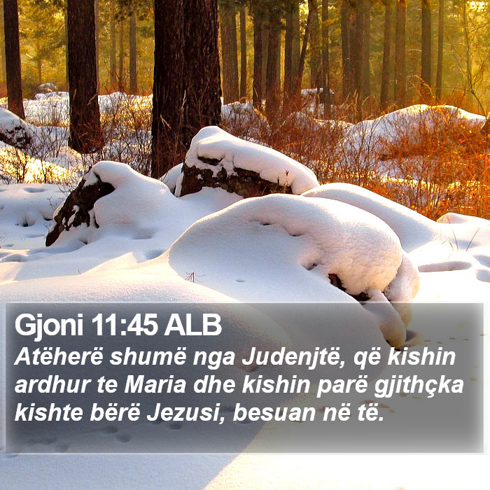 Gjoni 11:45 ALB Bible Study
