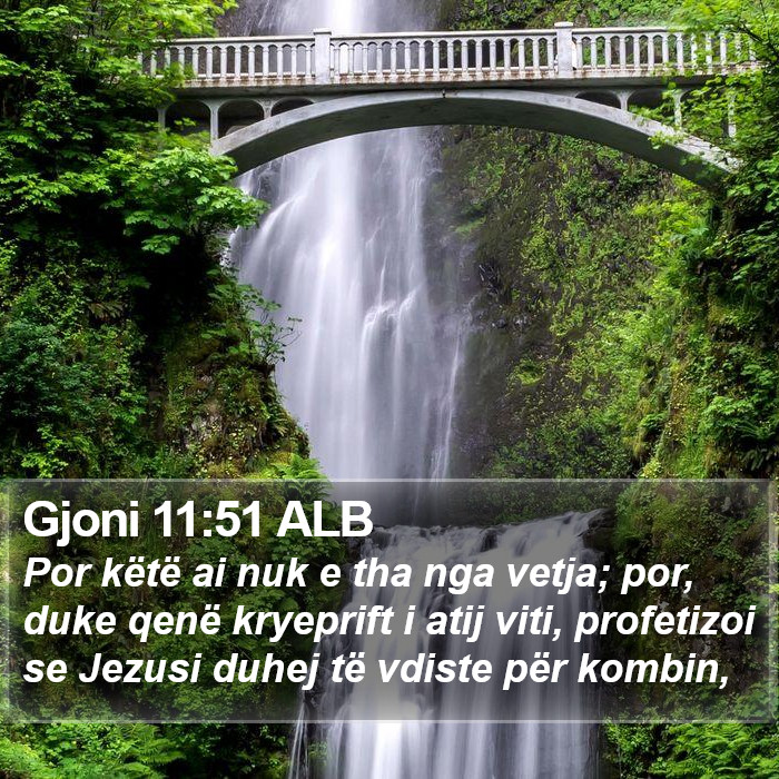 Gjoni 11:51 ALB Bible Study
