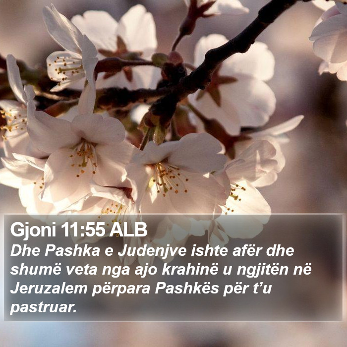 Gjoni 11:55 ALB Bible Study