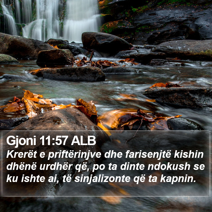 Gjoni 11:57 ALB Bible Study