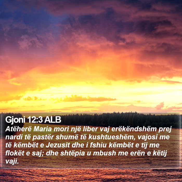 Gjoni 12:3 ALB Bible Study