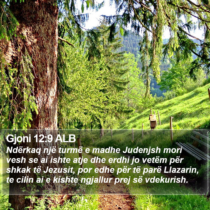 Gjoni 12:9 ALB Bible Study